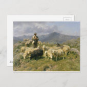 Schapen van de Pyreneeën door Rosa Bonheur Briefkaart (Voorkant / Achterkant)