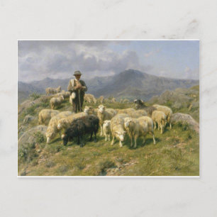 Schapen van de Pyreneeën door Rosa Bonheur Briefkaart