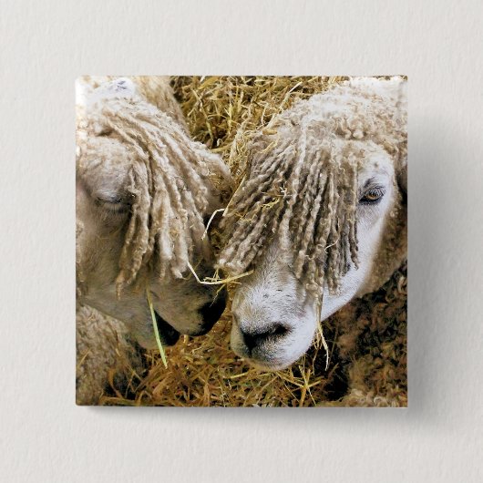 SCHAPEN VIERKANTE BUTTON 5,1 CM (Voorkant)