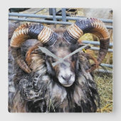 SCHAPEN VIERKANTE KLOK (Voorkant)