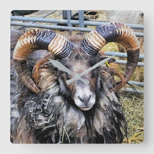 SCHAPEN VIERKANTE KLOK (Voorkant)