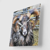 SCHAPEN VIERKANTE KLOK (Hoek)