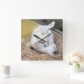 SCHAPEN VIERKANTE KLOK (Huis)