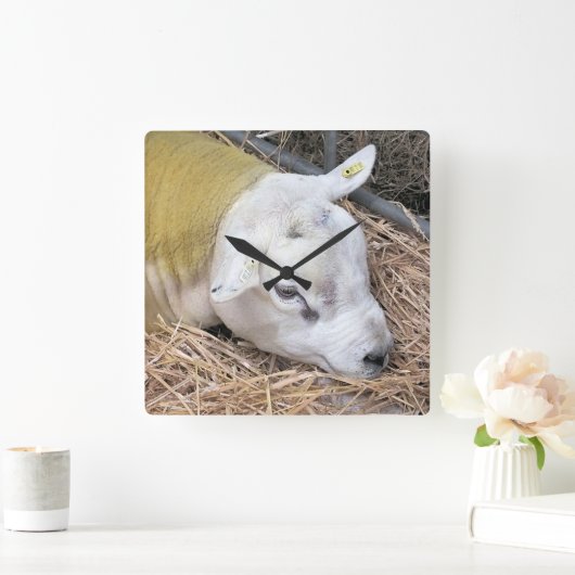 SCHAPEN VIERKANTE KLOK (Huis)