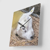 SCHAPEN VIERKANTE KLOK (Hoek)