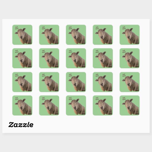 Schapen Vierkante Sticker (Vel)
