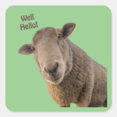 Schapen Vierkante Sticker (Voorkant)