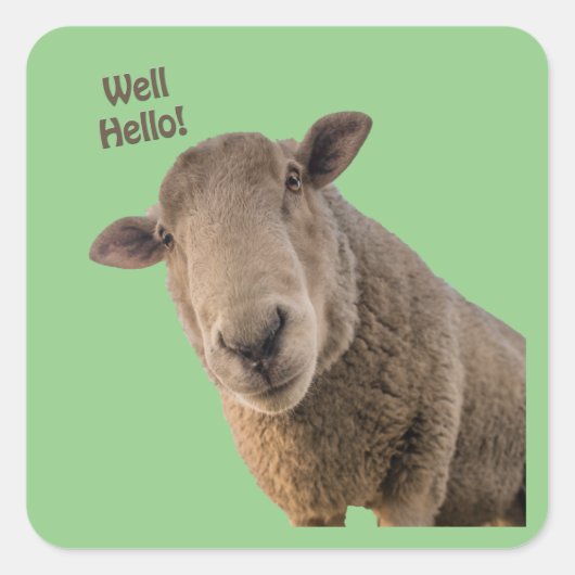 Schapen Vierkante Sticker (Voorkant)