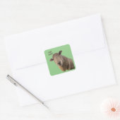 Schapen Vierkante Sticker (Envelop)