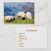 SCHAPEN VISITEKAARTJE (Voorkant / Achterkant)