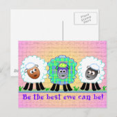 Schapen Wenskaarten Briefkaart (Voorkant / Achterkant)