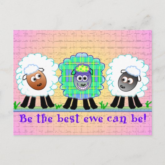 Schapen Wenskaarten Briefkaart (Voorkant)