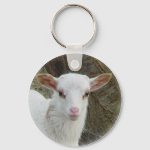 Schapen - Witte lammeren Sleutelhanger