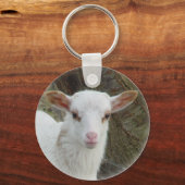 Schapen - Witte lammeren Sleutelhanger (Voorkant)