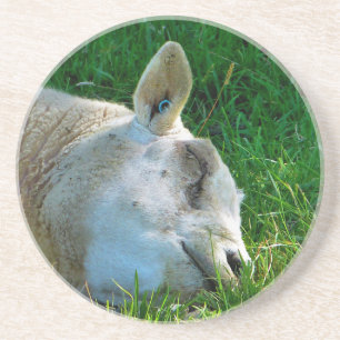 SCHAPEN ZANDSTEEN ONDERZETTER