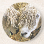 SCHAPEN ZANDSTEEN ONDERZETTER (Voorkant)