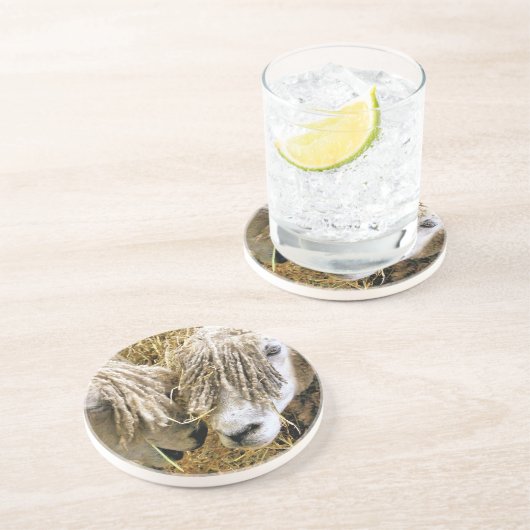 SCHAPEN ZANDSTEEN ONDERZETTER (Zijkant)