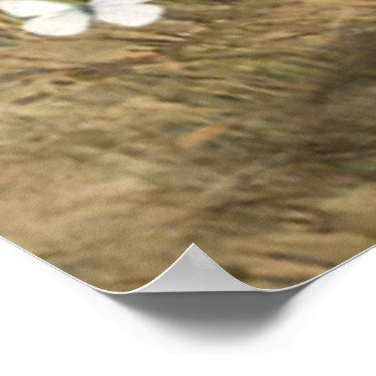 Schapen zijn nog steeds en weten dat ik God ben Poster (Hoek)