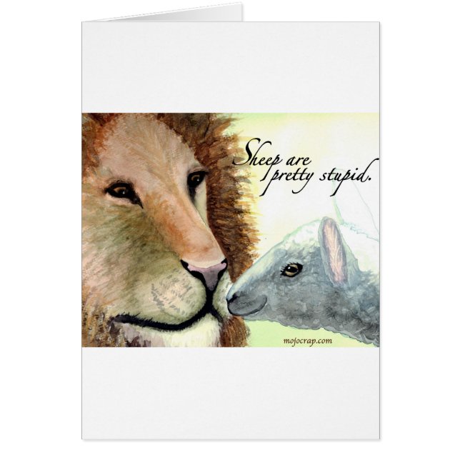 Schapen zijn  stomkop. (Voorkant)