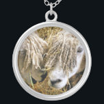 SCHAPEN ZILVER VERGULDEN KETTING<br><div class="desc">Twee prachtige Cotswold-schapen hebben fotografisch vastgelegd op een grappig en grappig moment dat ze met elkaar spraken. Katoen schaap is afkomstig van de Katoen in Engeland en wordt gefokt voor wol en vlees. Ze hebben lange vlooien met een bijna gouden tint.</div>