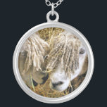 SCHAPEN ZILVER VERGULDEN KETTING<br><div class="desc">Twee prachtige Cotswold-schapen hebben fotografisch vastgelegd op een grappig en grappig moment dat ze met elkaar spraken. Katoen schaap is afkomstig van de Katoen in Engeland en wordt gefokt voor wol en vlees. Ze hebben lange vlooien met een bijna gouden tint.</div>