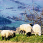 SCHAPEN ZILVER VERGULDEN KETTING<br><div class="desc">Een prachtig digitaal oliesschilderij van schapen, een paar van de hardwerkende boerderijen meisjes. Wales UK.</div>