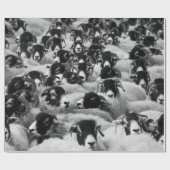 Schapen, zwart en wit cadeaupapier (Vlak)