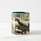 Schapenbeker Tweekleurige Koffiemok (Center)