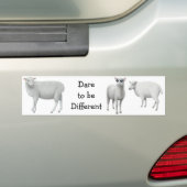 Schapenddare moet een andere Bumpersticker zijn (Op auto)
