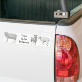 Schapenddare moet een andere Bumpersticker zijn (Op Truck)