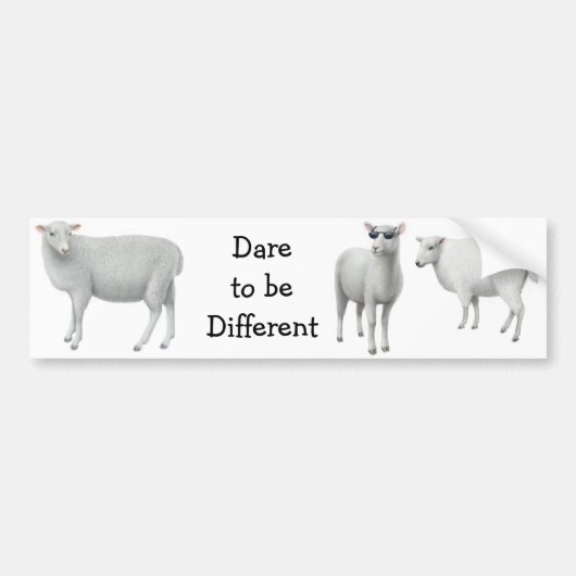 Schapenddare moet een andere Bumpersticker zijn (Voorkant)