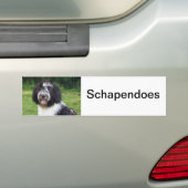 schapendo bumpersticker (Op auto)