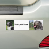 schapendo bumpersticker (Op auto)