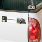 schapendo bumpersticker (Op Truck)