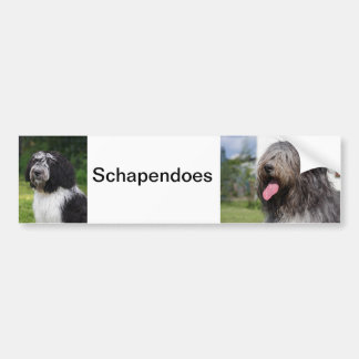schapendo bumpersticker