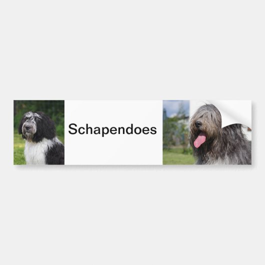 schapendo bumpersticker (Voorkant)