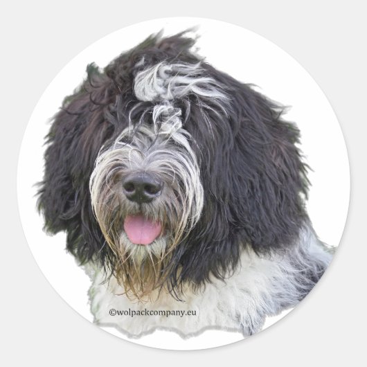 schapendo ronde sticker (Voorkant)