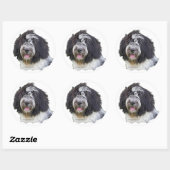 schapendo ronde sticker (Vel)