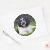 schapendo ronde sticker (Envelop)