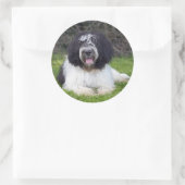 schapendo ronde sticker (Tas)