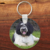 schapendo sleutelhanger (Voorkant)