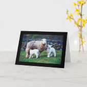 Schapenfamilie Kaart (Gele Bloem)