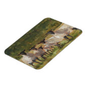 Schapenfamilie Magneet (Linkerzijde)