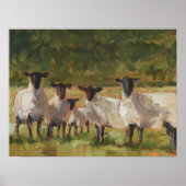 Schapenfamilie Poster (Voorkant)