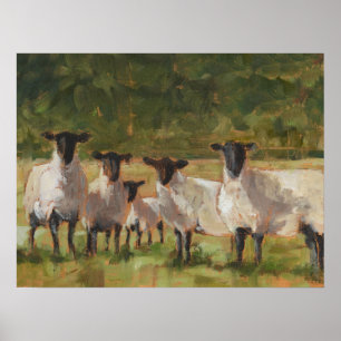 Schapenfamilie Poster