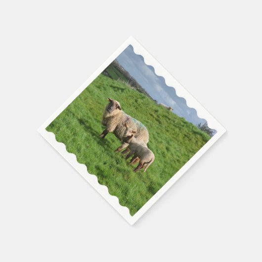 Schapenfamilie Servetten (Hoek)