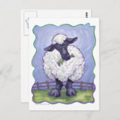 Schapengeschenken en -Accessoires Briefkaart (Voorkant / Achterkant)