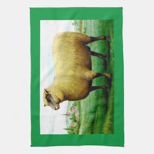  schapengrasland theedoek (Verticaal)