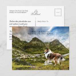 Schapenherder Sable Rough Collie - Collectibel Briefkaart