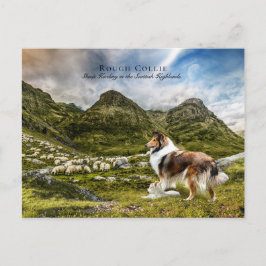 Schapenherder Sable Rough Collie - Collectibel Briefkaart